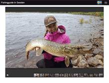 Tablet Screenshot of fishingguideinsweden.com